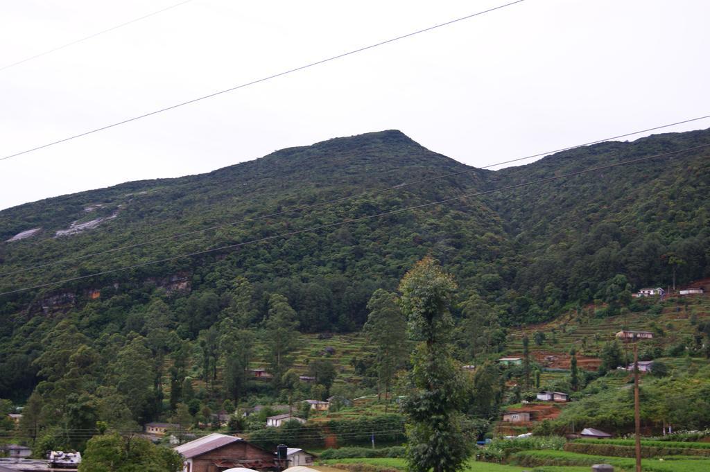 Winter Dream Holiday Bungalow Nuwara Eliya Pokoj fotografie